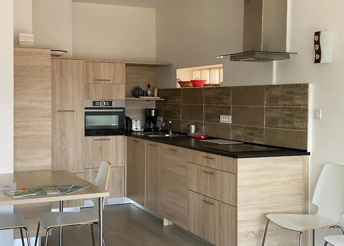 公寓 Moderne Et Lumineux Centre Aix Les Bains 艾克斯莱班