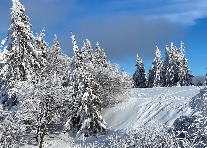 Moderne Et Lumineux Centre Aix Les Bains * 艾克斯莱班