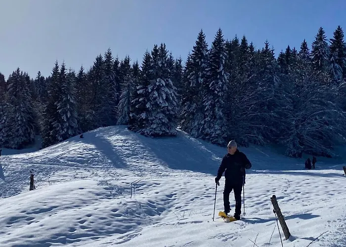 Moderne Et Lumineux Centre Aix Les Bains 公寓